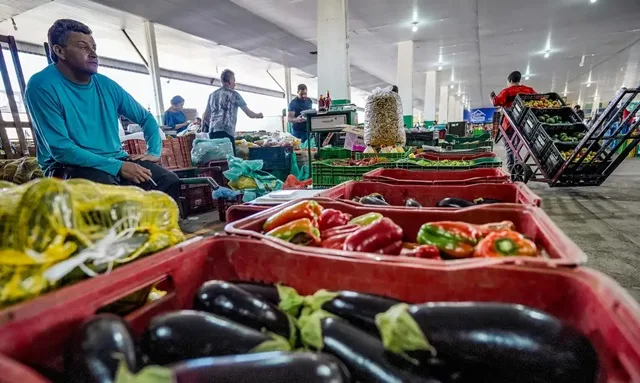 Frutas e verduras