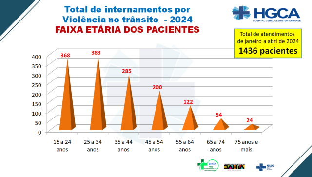 Indicadores de Violência de Trânsito - HGCA