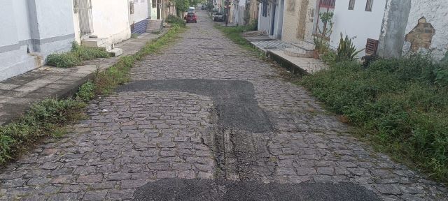 mato calçada rua artur bernardes queimadinha