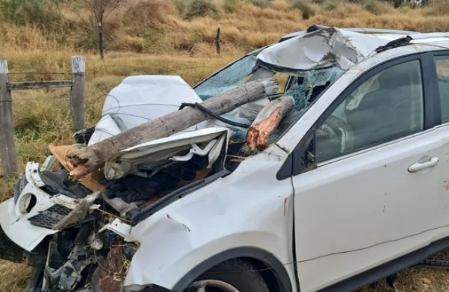 Carro colide com cavalo na BR030