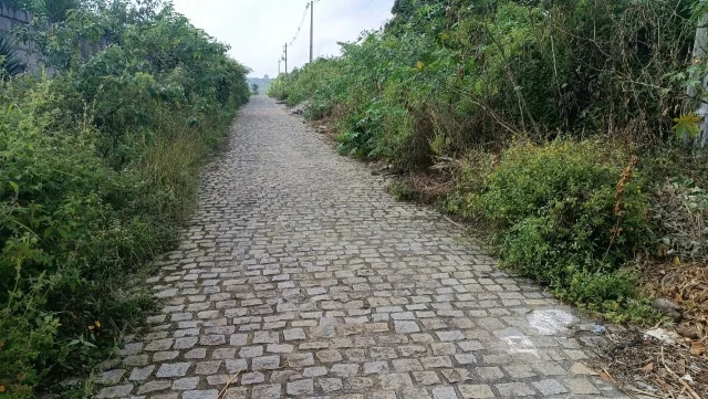 Rua Palmeira dos Índios, no bairro Santa Mônica ll, em Feira de Santana