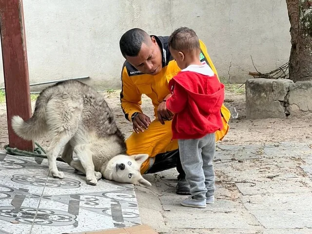 Socorristas salvam criança de 2 anos engasgado com uma bala; comportamento de cachorro chama atenção (1)