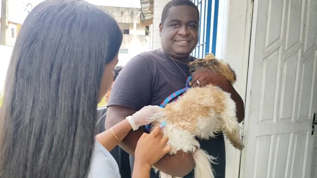 Prefeitura de Feira de Santana segue com campanha antirrábica neste sábado (20); mais de 5 mil animais já foram vacinados