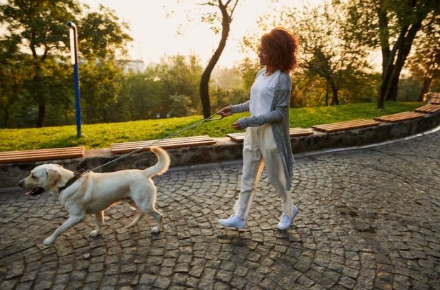 mulher passeando com cachorro